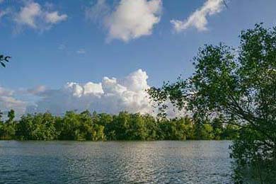 里奇·麦考退役后，仍然以不同身份支持新西兰橄榄球，nba麦克里兰