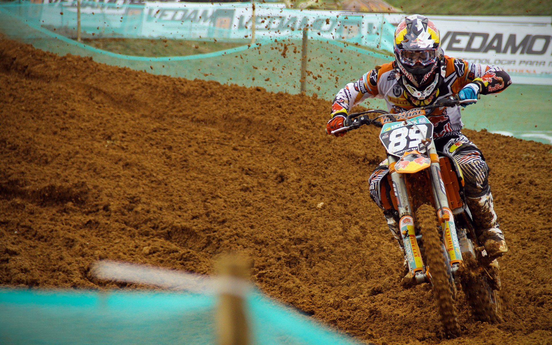 麦金托什女子自由泳项目冉冉升起新星，麦金托什的著名作品